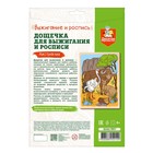 Доска для выжигания и росписи «Австралия» А4, 1 шт. 9826883 - фото 14210343