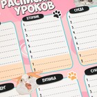 Расписание уроков «Милые кошечки» А4, многоразовое магнитное с маркером - Фото 5