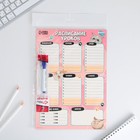 Расписание уроков «Милые кошечки» А4, многоразовое магнитное с маркером - Фото 6