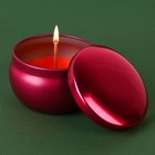 Новогодняя свеча в железной банке «Время чудес», аромат малина, диам. 6 см - фото 1476718