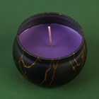 Ароматическая свеча в банке «Роскошь», аромат ваниль, 6 х 6 х 4 см. - фото 7030826