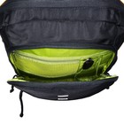 Рюкзак молодёжный Grizzly, 42 х 31 х 22 см, эргономичная спинка, отделение для ноутбука - фото 9605006