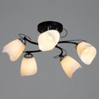 Люстра "Николь" 5х15Вт Е27 черный 50х50х25см BayerLux 9700213