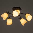 Люстра "Николь" 5х15Вт Е27 черный 50х50х25см BayerLux 9700213