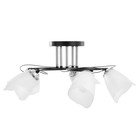 Люстра "Николь" 5х15Вт Е27 черный 50х50х25см BayerLux 9700213