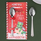 Ложка с гравировкой «Для радости!», 3 х 14 см 9516546 - фото 10012522