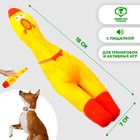 Игрушка для собак с пищалкой «‎Курица»‎ из текстиля, 21 х 6,8 см - Фото 1