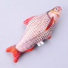 Игрушка для кошек с мятой «Красноперка» из текстиля, 20 см - Фото 3