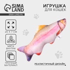 Игрушка для кошек с мятой «Форель» из текстиля, 20 см - Фото 1