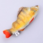Игрушка для кошек с мятой «Окунь» из текстиля, 20 см - Фото 3