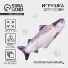 Игрушка для кошек с мятой «Лосось» из текстиля, 20 см - Фото 1