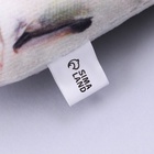 Игрушка для кошек с мятой «Лосось» из текстиля, 20 см - Фото 4