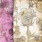 Декупажная карта "Роза" плотность 45г/м2, формат А4 (комплект 5 шт) - фото 28487344