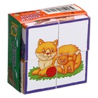 Умные кубики «У кошки котёнок», в поддончике, 4 штуки - фото 319648632