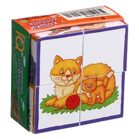 Умные кубики «У кошки котёнок», в поддончике, 4 штуки