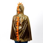 Карнавальный набор «Золотой дракон», плащ и маска - фото 805716743