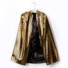 Карнавальный набор «Золотой дракон», плащ и маска - фото 806050033