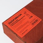 Салфетница деревянная Доляна, с отделениями для специй, 18,5×13,5×6 см, цвет мокко - Фото 4