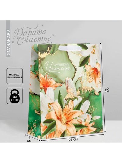 Пакет подарочный ламинированный, упаковка, «Лучшему учителю», M 30×26×9 см