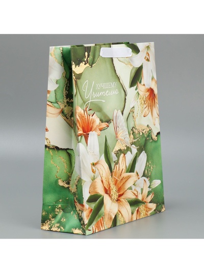 Пакет подарочный ламинированный горизонтальный, упаковка, «Лучшему учителю», M 30 х 26 х 9 см