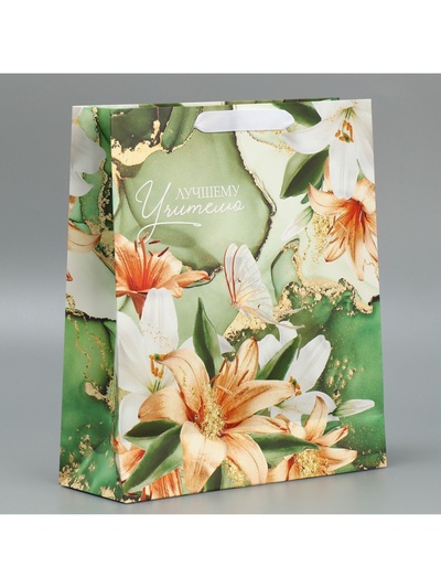 Пакет подарочный ламинированный горизонтальный, упаковка, «Лучшему учителю», M 30 х 26 х 9 см