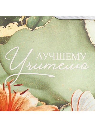 Пакет подарочный ламинированный горизонтальный, упаковка, «Лучшему учителю», M 30 х 26 х 9 см