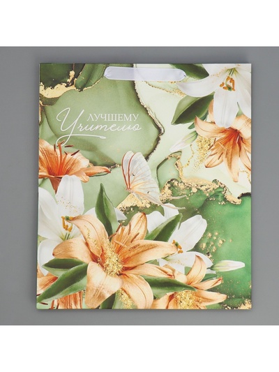 Пакет подарочный ламинированный горизонтальный, упаковка, «Лучшему учителю», M 30 х 26 х 9 см