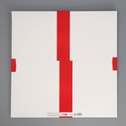 Пакет подарочный квадратный, упаковка, Red, 40 х 40 х 40 см - Фото 7