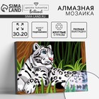Алмазная мозаика с полным заполнением на подрамнике «Снежный барс», 20×30 см - Фото 1