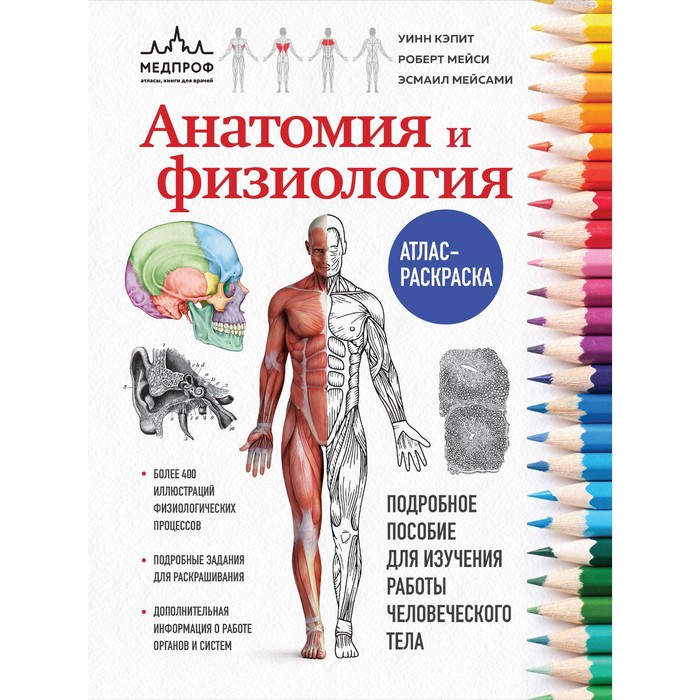 Анатомия и физиология. Атлас-раскраска. Кэпит У., Мейси Р., Мейсами Э.