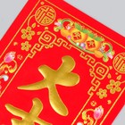 Панно на дверь «Удачи», настенный декор, 12×29 см 9586956