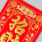 Панно на дверь флок, бумага «Счастливчик», настенный декор, 12×29 см - Фото 2