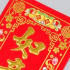 Панно на дверь флок, бумага «Жуйи благоприятный», настенный декор, 12×29 см - Фото 2