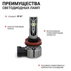 Лампа LED Autoprofi, H11, 12V / 15W, 6000K, 4000 Lm, в наборе 2 шт. - Фото 3