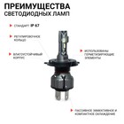 Лампа LED Autoprofi, H4, 12V / 15W, 6000K, 4000 Lm, в наборе 2 шт. - Фото 3