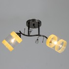 Люстра Светогор "Солнце" 2х60Вт Е27 черный хром - фото 49613890