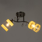 Люстра Светогор "Солнце" 2х60Вт Е27 черный хром - фото 49613891