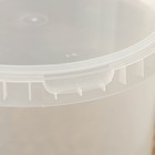 Ведро пластиковое одноразовое с крышкой, 2,8 л, d=17 см, прозрачное, 120 шт/уп. - Фото 3