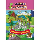 Читаем по слогам. Читалочки-познавалочки «Рассказы: слоговой тренажёр» 9834193 - фото 10690748