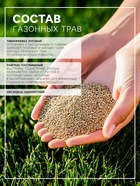 Газонная травосмесь «Экспресс» Зеленый уголок, 10 кг - Фото 2