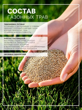 Газонная травосмесь "Экспресс" Зеленый уголок, 10 кг