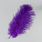Перо страуса 15-20 см, фиолетовый - Фото 3