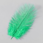 Перо страуса 15-20 см, зелёный - фото 22840683
