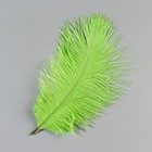 Перо страуса 15-20 см, салатовый - фото 22404365