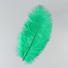 Перо страуса 25-30 см, зелёный - фото 22404390