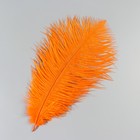 Перо страуса 25-30 см, оранжевый - Фото 2