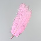 Перо страуса 25-30 см, розовый - фото 24342357