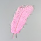 Перо страуса 25-30 см, розовый - фото 24342358