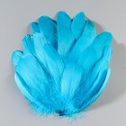 Набор перьев гуся 13-18 см, 20 шт, светло-бирюзовый - фото 7007841