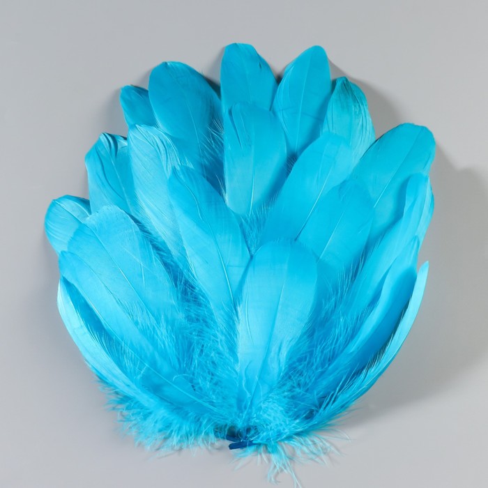 Набор перьев гуся 13-18 см, 20 шт, светло-бирюзовый